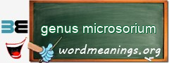 WordMeaning blackboard for genus microsorium